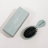 Natalie Anne Mini Gentle Wet & Dry Brush