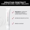 Tratamiento Penetraitt 150ml Sebastian