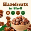 Food to Live Hazelnuts in Shell, 6 Pounds – Oregon