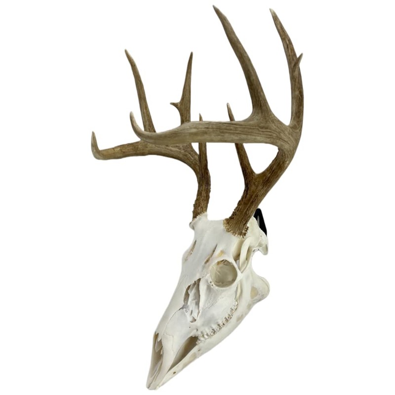 Skull Hanger 3 Pack Style