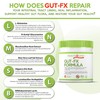 Healthology Gut-Fx, Gut Supplement, 180 gram