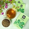McCoy Teas Moringa Tea Individually Wrapped Tea Bags Collection Herbal