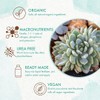 Organic Succulent & Cactus Plant Food - Gentle Liquid Fertilizer