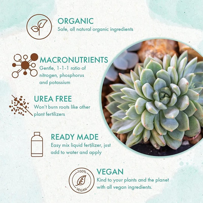 Organic Succulent & Cactus Plant Food - Gentle Liquid Fertilizer