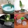 3PCS 2.76-Inch Clear Flower Frog, Flower Frogs For Arrangements,Stem Holder