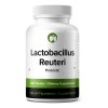 Lactobacillus Reuteri Probioticos Con 240 Tabs Hecho En Usa