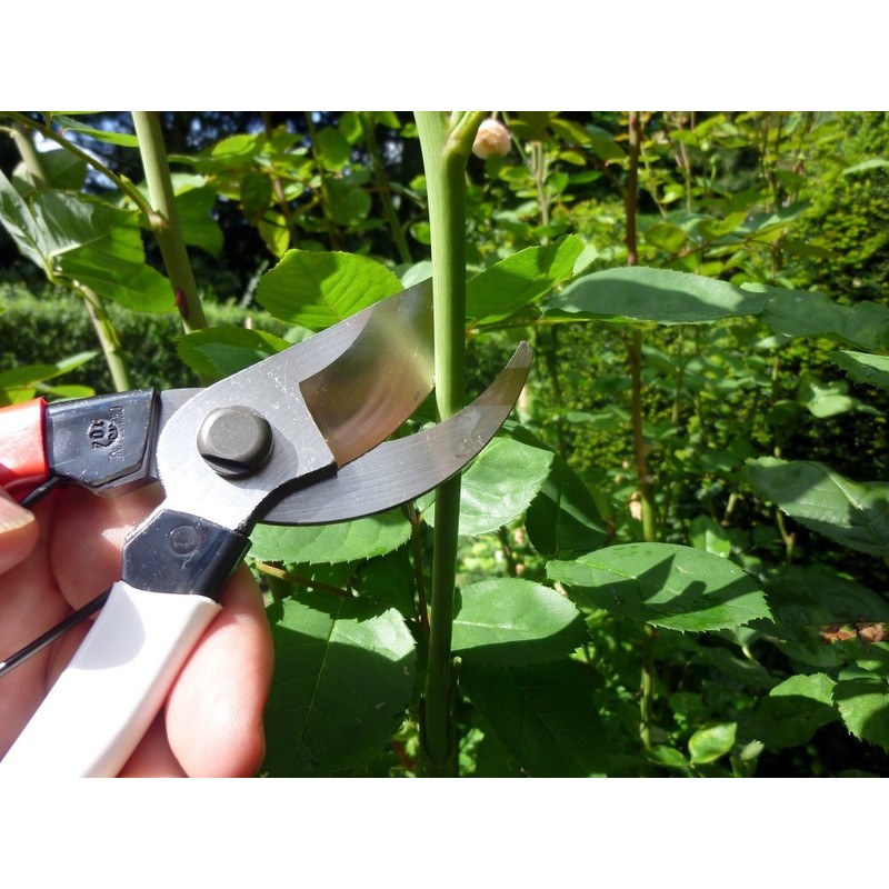 Okatsune No. 101 Pruning Shears 7.1 inches (180 mm)