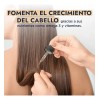 Hebbe Cosmetics Extracto Glicólico de Avena 100g 4X Para Piel