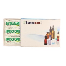 homeomart.com Datisca Cannabina Homeopathy Pellets (Pills) in 6C Potency, Pack of 3
