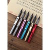 Isshinsai Fountain Pen Re-inkable, Screw Type, Black Brush Pen, Fine