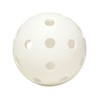 Fat Pipe Floorball Unihockey Ball Team Set of 24 Fat