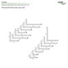 HEXIM Angle Profiles Unequiline White PVC Plastic Angle Selection Dimensions