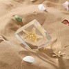 1st Heaven Prepared Starfish, Real Starfish Preparation in Resin -