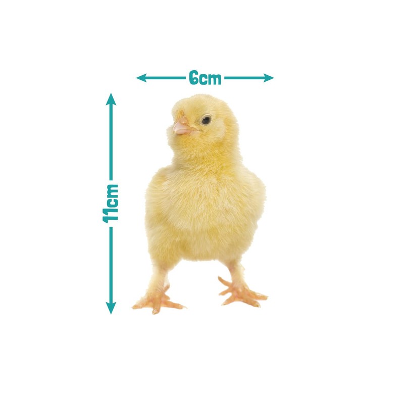 Stickerscape Easter Window Stickers (Little Chicks) | Easter Window Decal,