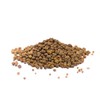 Allspice Whole | 40 g | Clove Pepper | Pimento