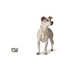 HUNTER Stainless Steel Feeding Bowl for Dogs and Cats Non-Slip