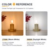 12V Low Voltage Mini LED Candelabra Light Bulbs - Soft