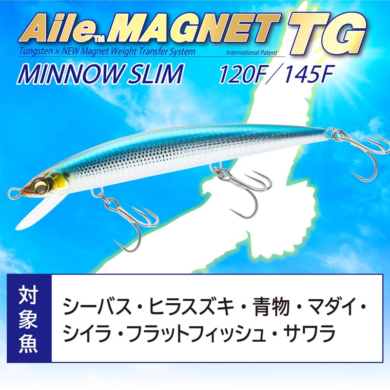 DUEL(デュエル) アイルマグネット TG ミノースリム 120mmフローティング 17g オリジナルイワシ 遠投 重心移動
