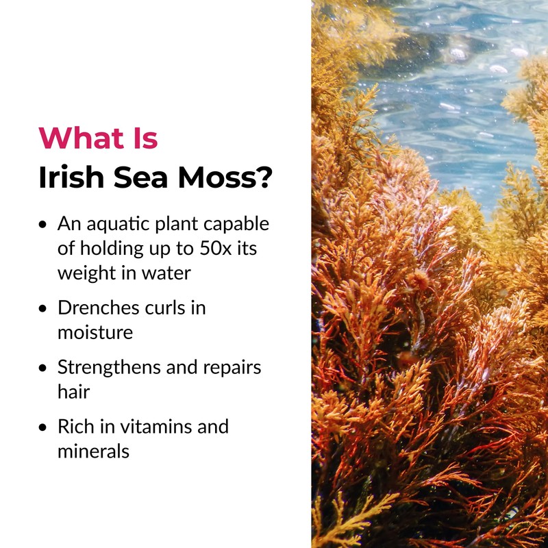 Love Ur Curls Irish Sea Moss Hair Gel, Medium Hold