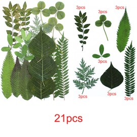 Cayway Natural Dried Pressed Flowers, Natural Dried Pressed Leaves, Natural Dry Flowers Leaves with Tweezers, Scissors for Pressed Leaf Art Craft DIY Embellishment Decorations ( Green Yellow Pink)