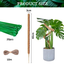Coco Coir Bendable Moss Pole for Monstera & Cheese Plants, 40cm
