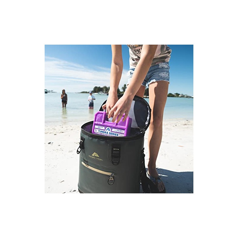 Arctic Ice Tundra Series Long Lasting Reusable Ice Pack -