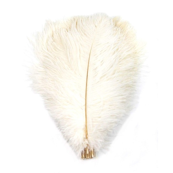 PANAX Ostrich Feathers Approx. 25-30 cm Feather Length White Pack of 20