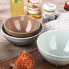 Emile Henry HR ceramic rice bowl + soup bowl set