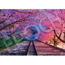 Epoch Inc. 500 Piece Jigsaw Puzzle Cherry Blossom Kicking Up Incline - Kyoto (15 x 20 inches)