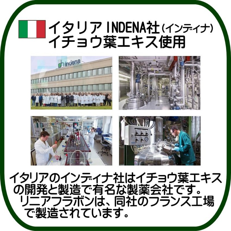 イチョウ葉 エキス +DHA 【リニューアル】 リニアフラボン 90粒 ×6個セット イタリア インディナ社 フラボノイド