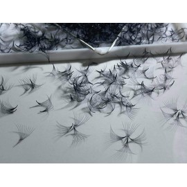 LASH BY HOLLY 10D pre-made (hand made) fan lashes (500 fans/tray) for eyelash extension, C curl, D curl and M curl, 0.05 thickness, length from 10 mm - 17 mm (D13 mm 10D)
