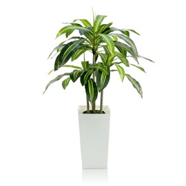 GOVIRAYE Dracaena Artificial Plant - 4ft Faux Tree with Planter White, UV-Resistant Tropical Faux Dracaena Tree Indoor for Home Decor, Bedroom, Living Room, Porch, Patio, Outdoor Housewarming Gift