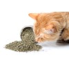 Purple Haze Catnip, Premium Blend Safe for Cats, Infused with
