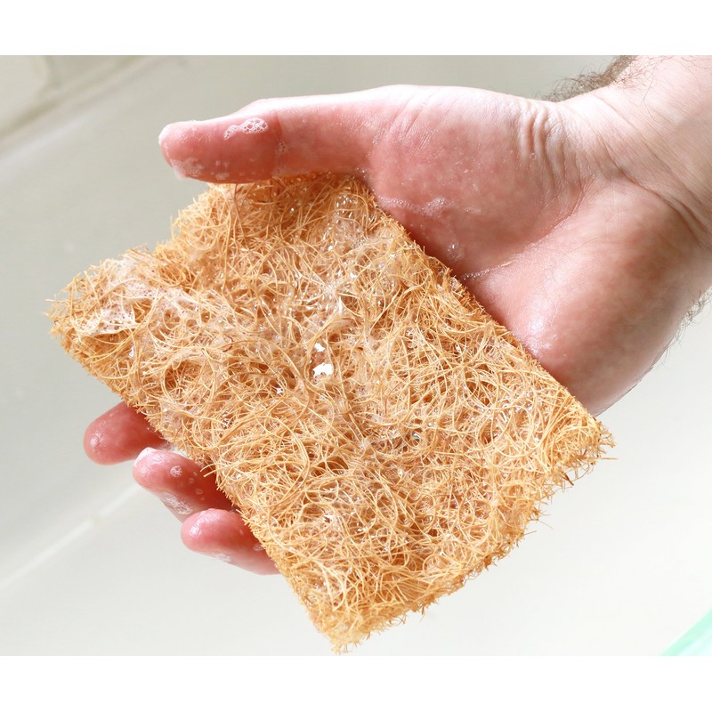 Safix Coconut Fibre Scrub Pad, Large, 0.335 milliliters