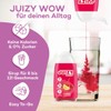JUIZY WOW JUIZY WOW Squeeze Sirup Zuckerfrei | 3 x