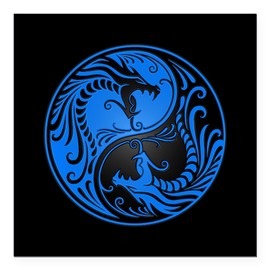 CafePress Blue Yin Yang Dragons with Black Back Square Car M Square Car Magnet, Magnetic Bumper Display