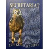 2023 Secretariat Shirt 50 Anniversary Blue Small