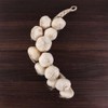 Leadigol Artificial Garlic String - Fake Vegetables Photography Props, Simulation
