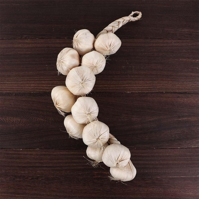 Leadigol Artificial Garlic String - Fake Vegetables Photography Props, Simulation