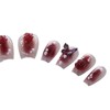 PN-019 Press-On Nails Lacquered 10 Pieces Reusable False Nails Rose