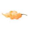 Jay's Peach Ghost Scorpion JPGS Pepper Premium Seeds for Planting