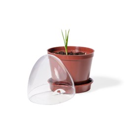 Kimmel Propagation Pots Set of 6, Without Storage Box, 6 er Set