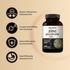 High Potency Zinc Picolinate 100mg - 240 Capsules, Bioavailable Form
