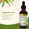Herbs Etc. ChlorOxygen Chlorophyll Concentrate - Highly-Concentrated Energy Support -