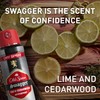 Old Spice Dry Spray Antiperspirant Deodorant for Men, 24/7 Sweat