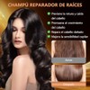 Champú Hair ShampooChampú Anticaída de Jengibre