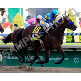 SPORTSPHOTOSUSA American Pharoah Kentucky Derby Triple Crown Winner 8x10 Photo