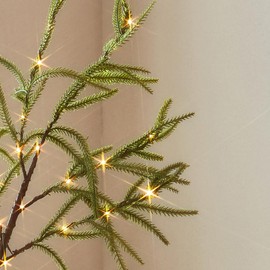 Hairui Lighted Norfolk Pine Branches Battery Operated with Timer, Tree Branch Lights 32IN 60 LED Fairy Lights for Home Bedroom Fireplace Thanksgiving Christmas Decor (Vase Excluded)