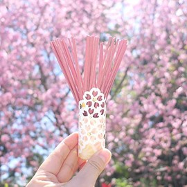 nippon kodo SCENTSCAPE - Beautiful Spring 40 Sticks, Japanese Quality Incense, Since 1575