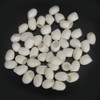 Pack of 50 Silkworm Cocoons, Silk Cocoons, Face Care, Natural
